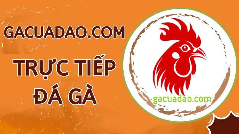 Giới thiệu trang web gacuadao.com