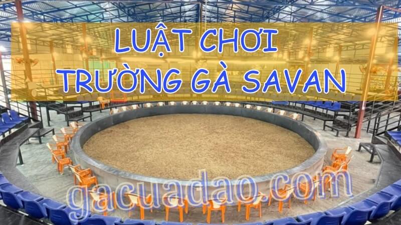 Luật chơi và quy tắc tại trường gà Savan