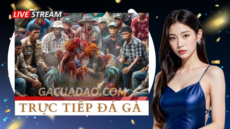 Xem live trực tiếp đá gà cựa dao ở đâu?