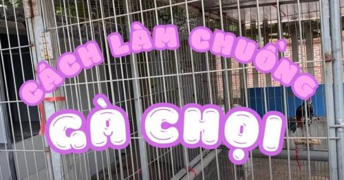 Bật mí cách làm chuồng gà chọi đơn giản ngay tại nhà