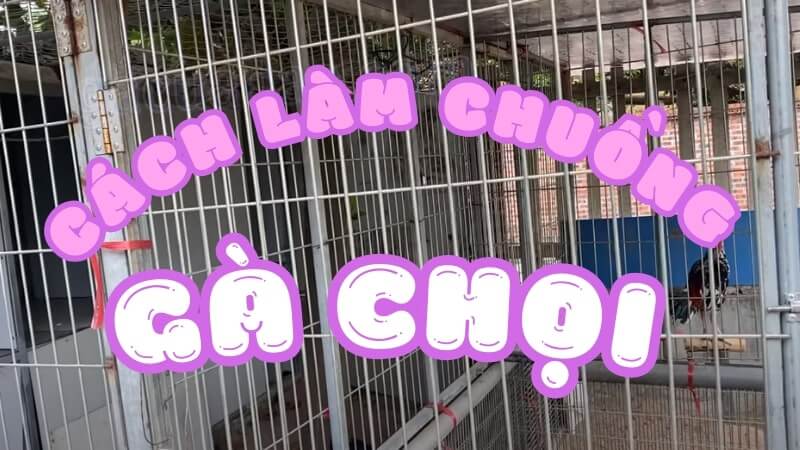 Bật mí cách làm chuồng gà chọi đơn giản ngay tại nhà