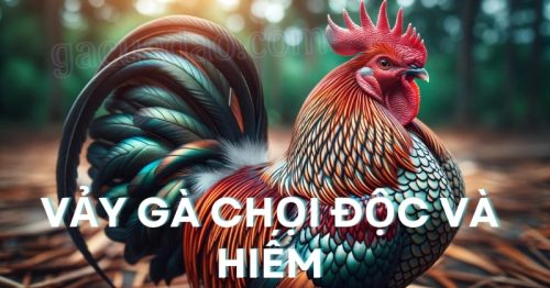 Điểm danh top 15+ vảy gà chọi độc và hiếm hiện nay