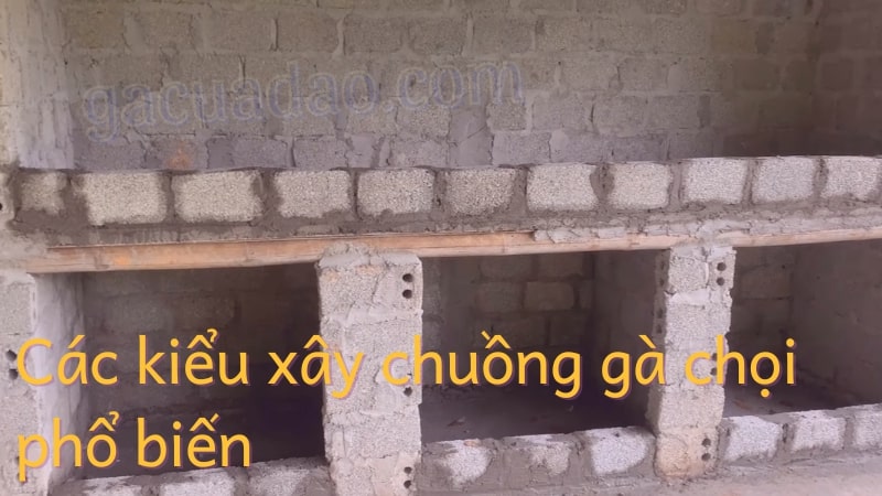 Gợi ý các kiểu xây chuồng gà chọi phổ biến