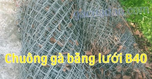 Hướng dẫn cách làm chuồng gà bằng lưới b40 an toàn, bền vững