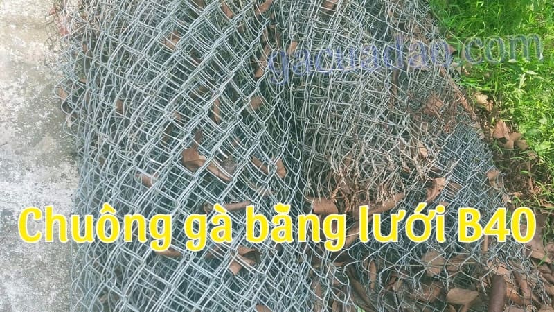 Lý do nên sử dụng lưới B40 để làm chuồng gà?