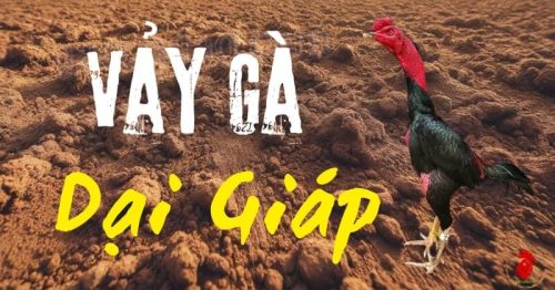 Vảy Đại Giáp – Biểu tượng của chiến binh dũng mãnh