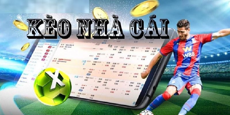 Bongdalu review nhà cái cá cược cực đỉnh