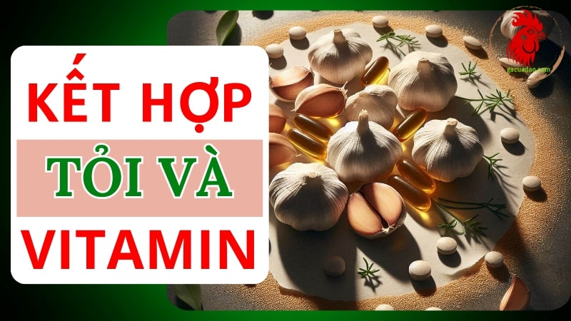 Mẹo kết hợp tỏi và vitamin cho gà hiệu quả