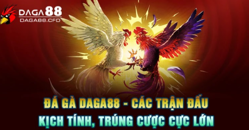 Đá Gà DAGA88 – Các Trận Đấu Kịch Tính, Trúng Cược Cực Lớn