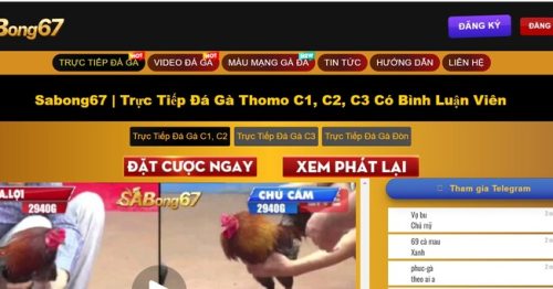 Khám Phá Sabong67 – Sân Chơi Đá Gà Đẳng Cấp Châu Á